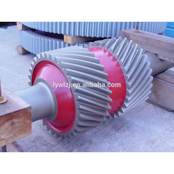 High Precision OEM Helical Drive Gear Shaft for Gearbox